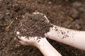 organic compost